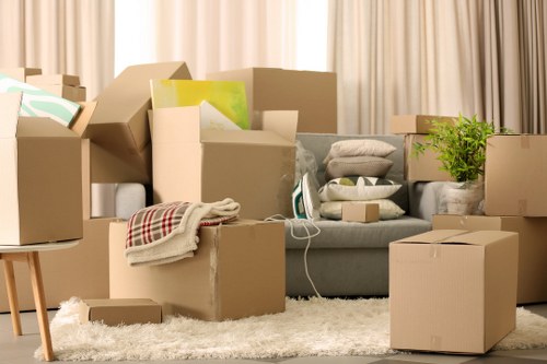 Risk assessment planning for a safe house move in Lambeth